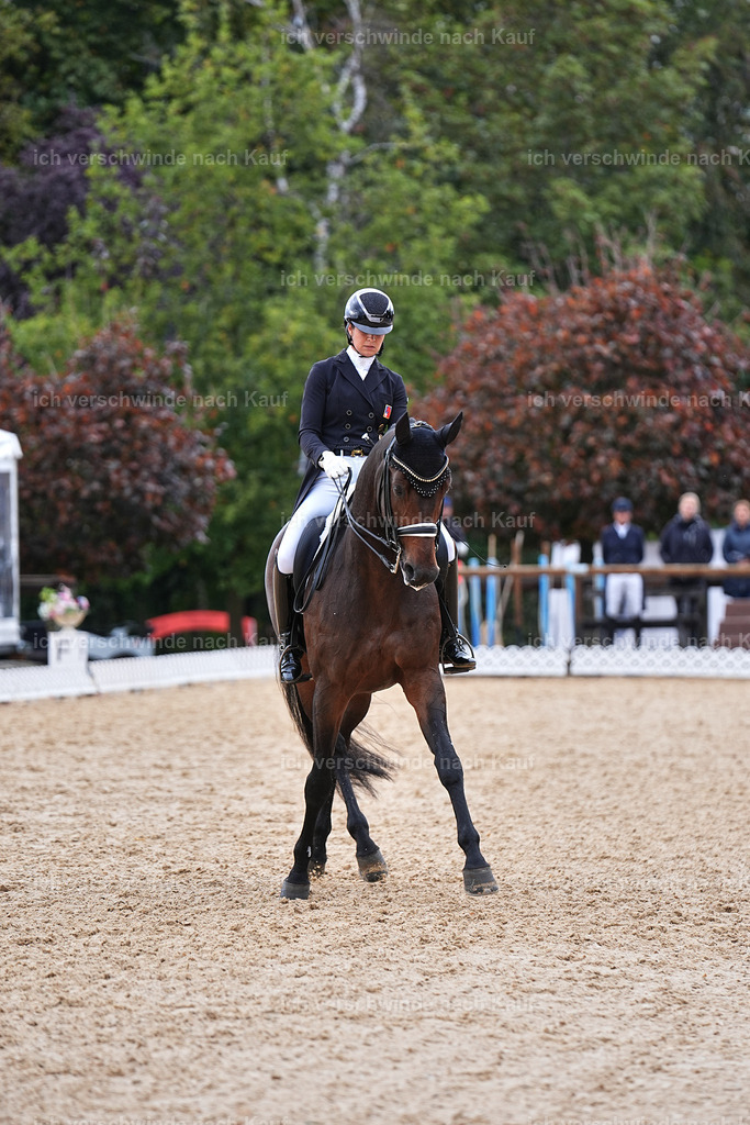 12-110-DRESSUR  S___  -Marixx-5207 | working equitationturnier fotograf videograf stoibphotography marixx film working equitation deutschland reitsport turnierfotografie eventfotografie equestrian events