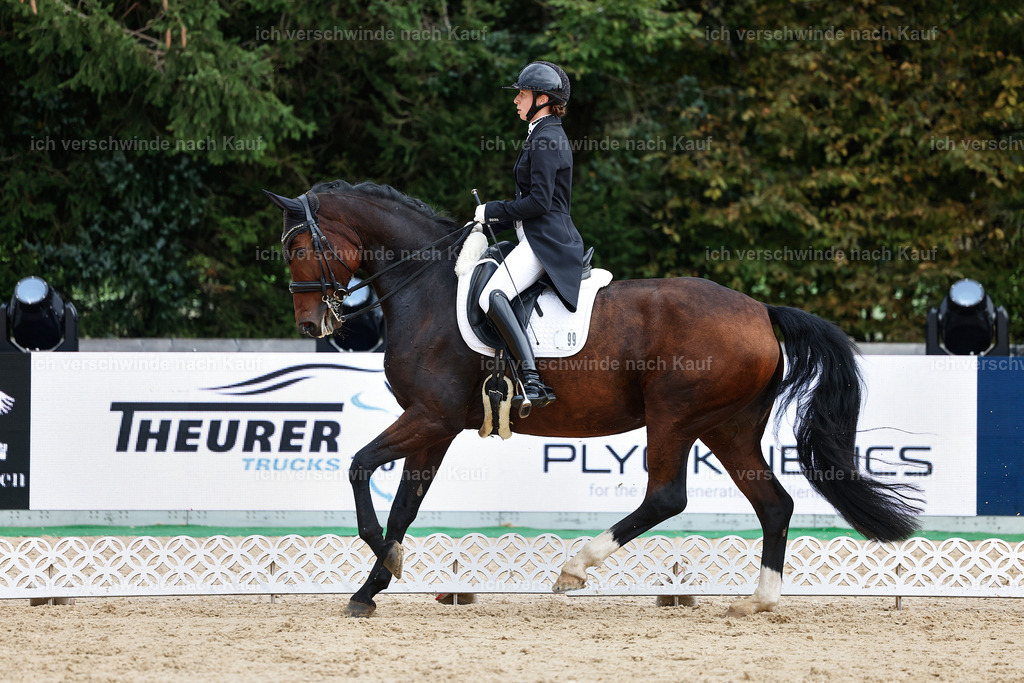 8_1-099-Klasse S_  -StoibPH-3863 | working equitationturnier fotograf videograf stoibphotography marixx film working equitation deutschland reitsport turnierfotografie eventfotografie equestrian events