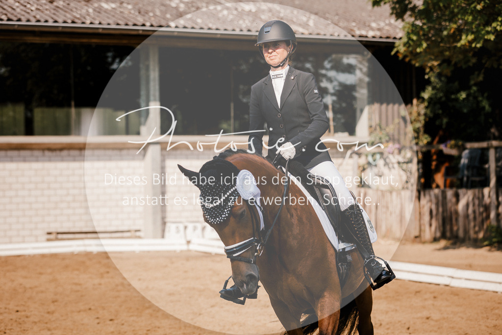 3I6A9217 | Stimmungsvolle Portraits und Reitsportfotografie im Ruhrgebiet und im Münsterland.

Pferdefotografie, Hundefotografie, Tierfotografie, Reportagen, Portraits von Tier und Mensch, Turnierfotografie in Bochum, Recklinghausen, Marl, Haltern am See, Dülmen.. - Realisiert mit Pictrs.com