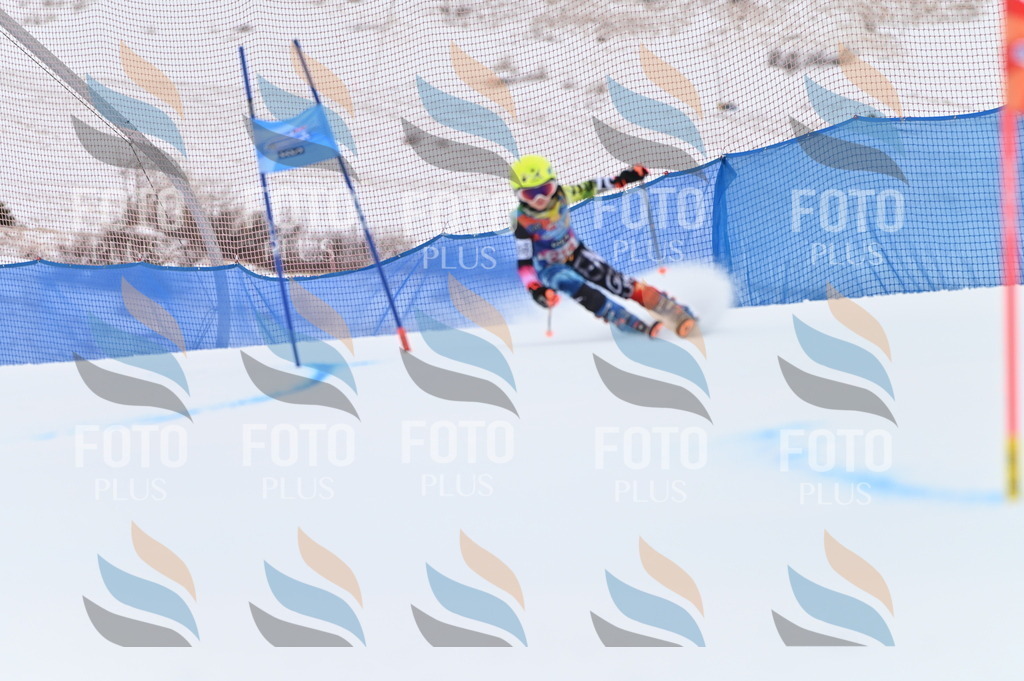 BGV_2666 | holidayphoto