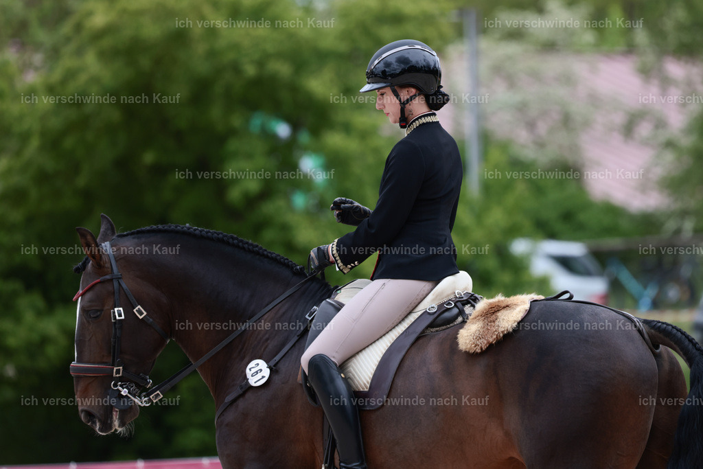 PI26_DR_261_StoibphotographyC2_L7730.jpg | working equitationturnier fotograf videograf stoibphotography marixx film working equitation deutschland reitsport turnierfotografie eventfotografie equestrian events