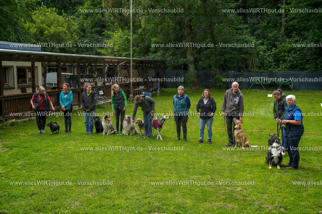 @allesWIRTHgut_Tierfotografie - www.allesWIRTHgut.de - 114439-7R508473 | Professionelle Tierfotografie in Mönchengladbach von Daniel Wirth (allesWIRTHgut). Liebevolle & natürliche Bilder von Hunden & Katzen für unvergessliche Erinnerungen.