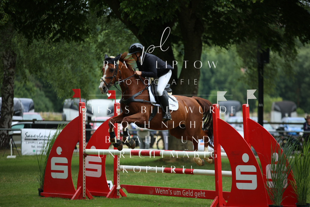 IMGM3586 | pl-fotografie