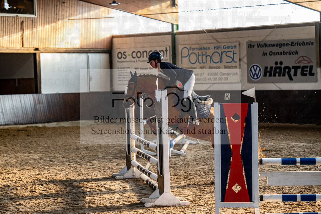 20240308-DOS_2279 | Entdecke hochwertige Reitturnierfotos von Foto Oger. Professionell, emotional und authentisch – jetzt Lieblingsmomente im Shop bestellen.Deutschlandweite Turnierfotografie. - Realisiert mit Pictrs.com