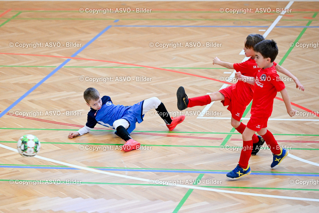 ASVÖ_ Fussballturnier SV Gallneukirchen_ 08.02.2025-88 | 08.02.2025, Gallneukirchen, AUT, ASVÖ, Fussball Nachwuchs Hallenturnier 2025, SV Gallneukirchen im Bild Teilnehmer U 7©Harald Dostal / fodo.media - Realisiert mit Pictrs.com