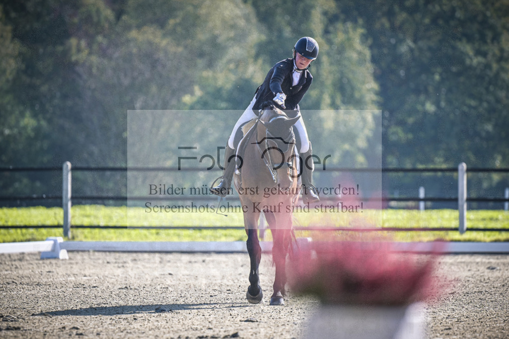 DOS_0216 | Entdecke hochwertige Reitturnierfotos von Foto Oger. Professionell, emotional und authentisch – jetzt Lieblingsmomente im Shop bestellen.Deutschlandweite Turnierfotografie. - Realisiert mit Pictrs.com