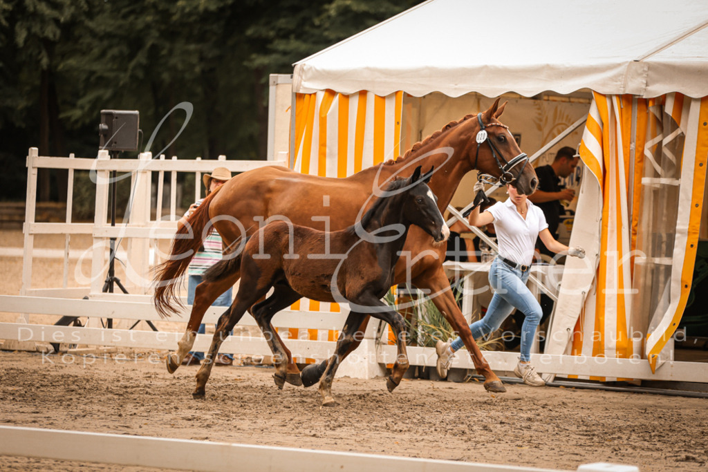 SaPA00297 | Leoni Ertmer Photography - Realisiert mit Pictrs.com