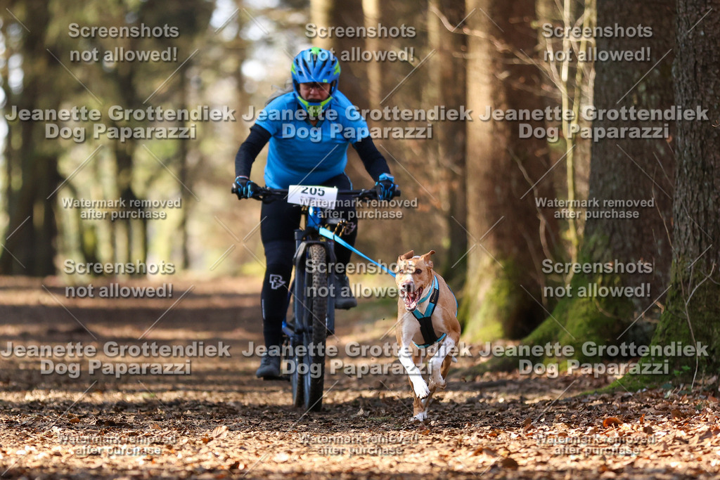 Dog Paparazzi - VCC26-1016 | Dog Paparazzi Jeanette Grottendiek Fotografie & Videografie - Realisiert mit Pictrs.com