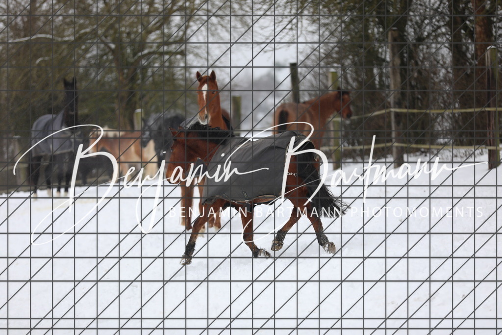 AZ2A3357 | Benjamin Bartmann Photomoments