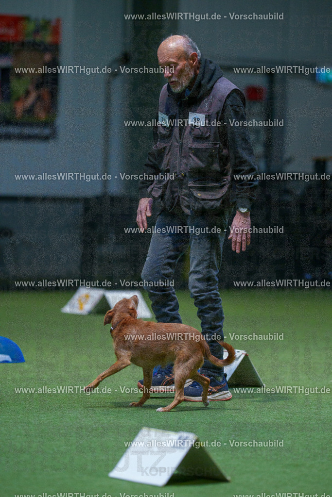 7R502593 | Professionelle Tierfotografie in Mönchengladbach von Daniel Wirth (allesWIRTHgut). Liebevolle & natürliche Bilder von Hunden & Katzen für unvergessliche Erinnerungen.