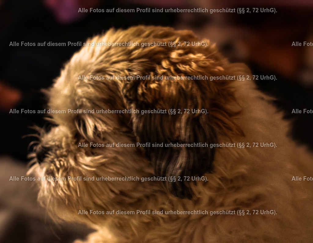 20240305213311_0C4A2563-01_2 | krollfotografie - Realisiert mit Pictrs.com