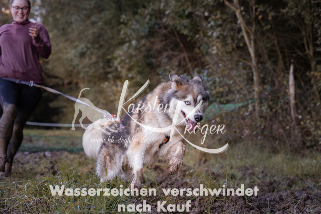 1029_ZZ91647 | kk-dogfotos