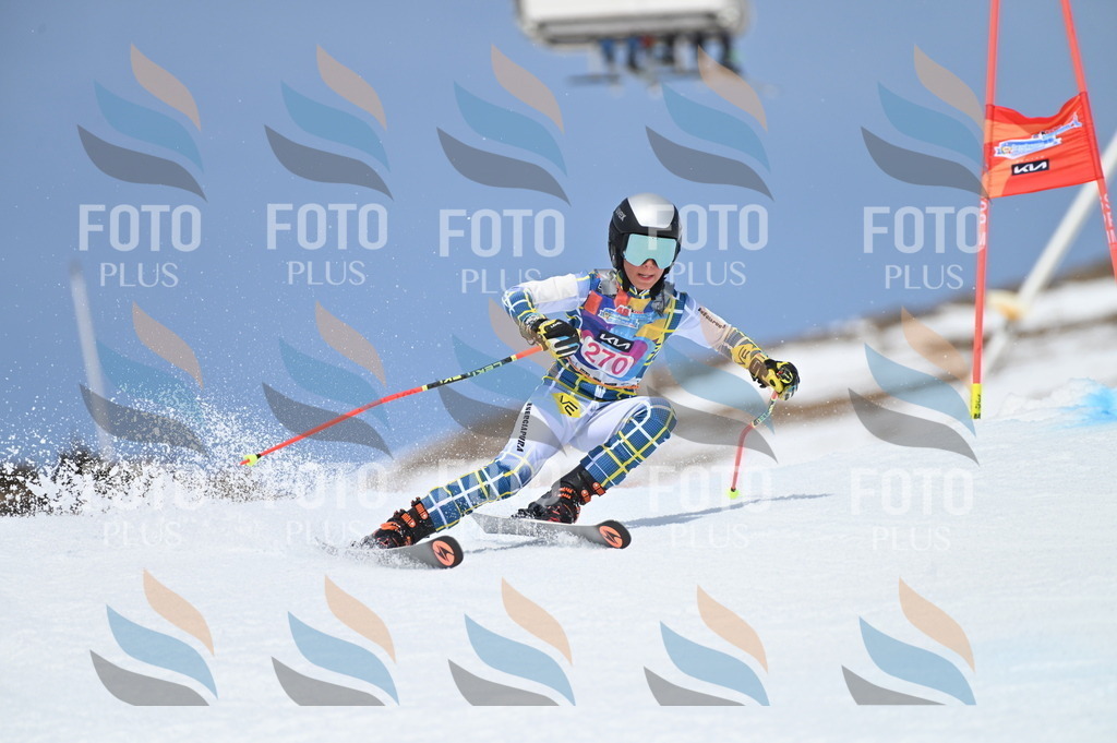 BGV_2249 | holidayphoto