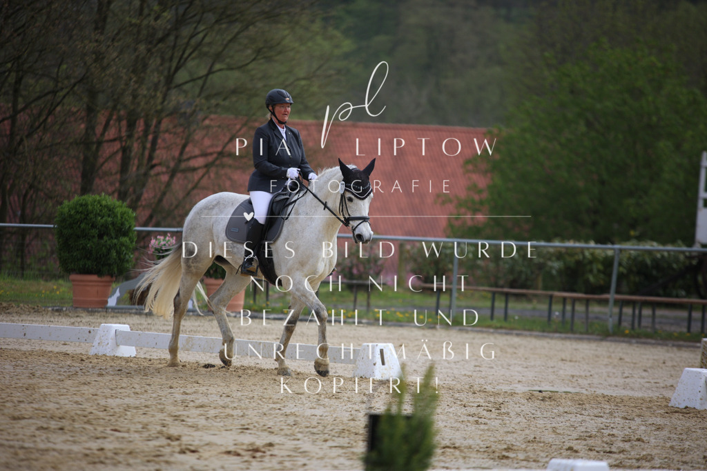 IMGT5817 | pl-fotografie