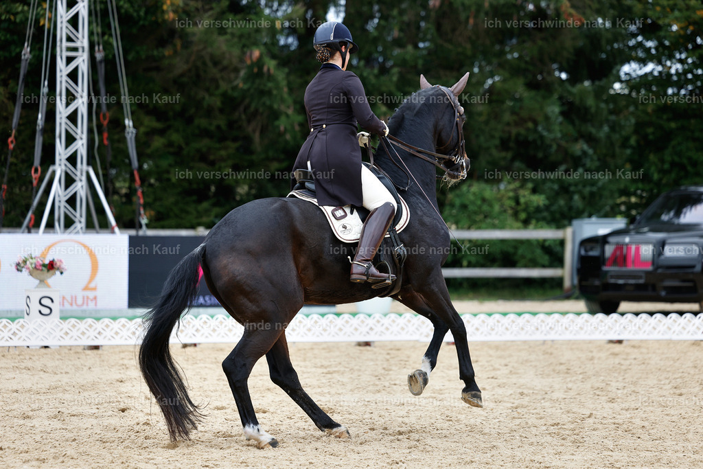11-191-Dressur S___-StoibPH-903 | working equitationturnier fotograf videograf stoibphotography marixx film working equitation deutschland reitsport turnierfotografie eventfotografie equestrian events
