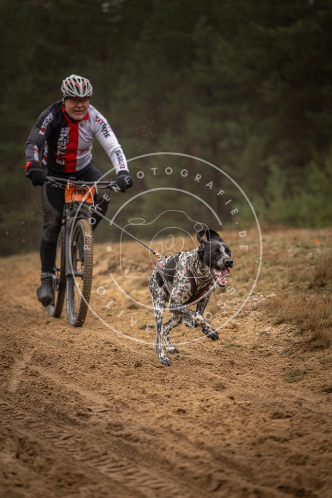 Pfotenfotografie_DV3A3280 | Hundefotografie, Tierfotograf, Pfotenfotografie, Fotoshooting Hund, Hunde Portrait, Hundesport, Hundeportraits, Heideshooting, Hunde, Sportfotograf, Hundefotograf, Turnierhundsport, THS,  - Realisiert mit Pictrs.com