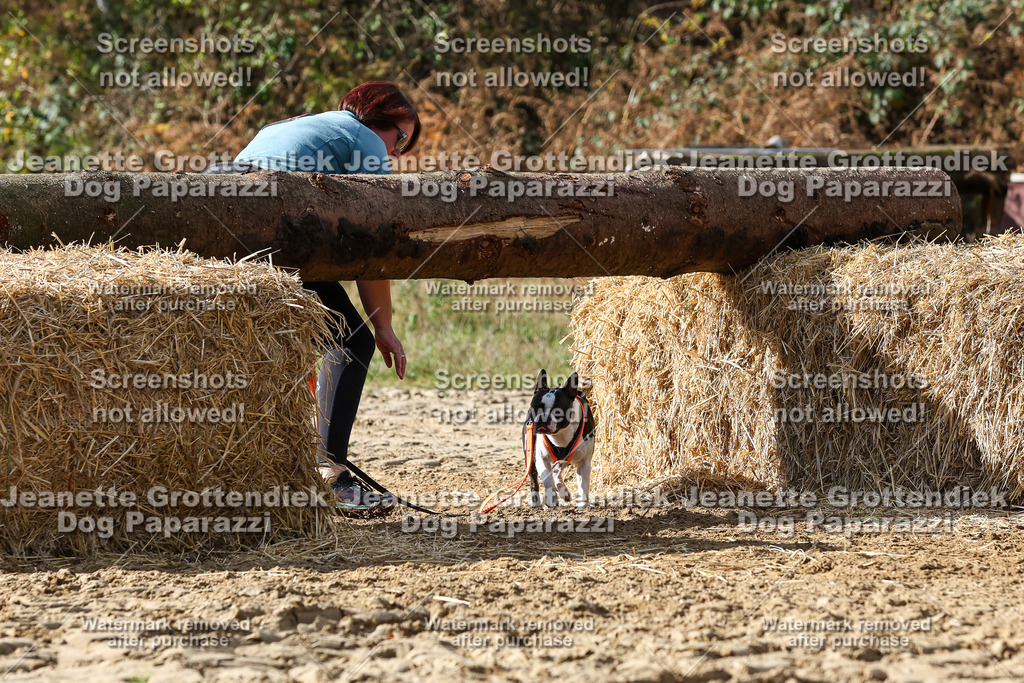 Dog Paparazzi - Strongdog 10-25-4973 | Dog Paparazzi Jeanette Grottendiek Fotografie & Videografie - Realisiert mit Pictrs.com