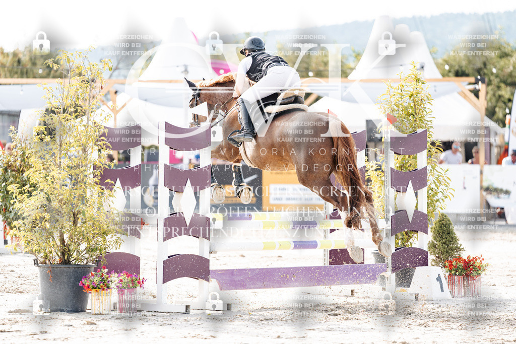 CK906016 | Turnierfotografie Pferdefotografie Trier Rheinland-Pfalz Pferdesport Reitsport Tierfotografie Sportfotografie Pferdevideo Pferdevideografie Equestrianvideography equestrianphotography  - Realisiert mit Pictrs.com