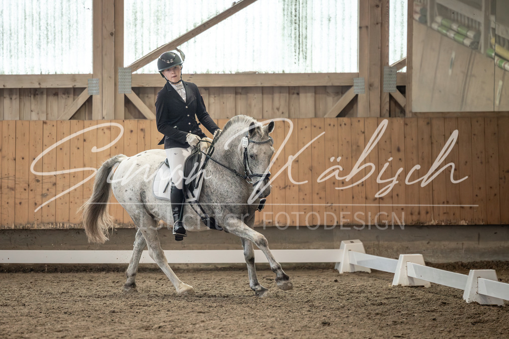 20251011-_3LI6912 | Tierfotografie Pferde, Hunde, Katzen, Haustiere.
Turnierfotografie Reitturniere, Reiten, Springreiten, Dressur in Hanau, dem Main-Kinzig-Kreis und dem Rhein-Main- Gebiet um Frankfurt
