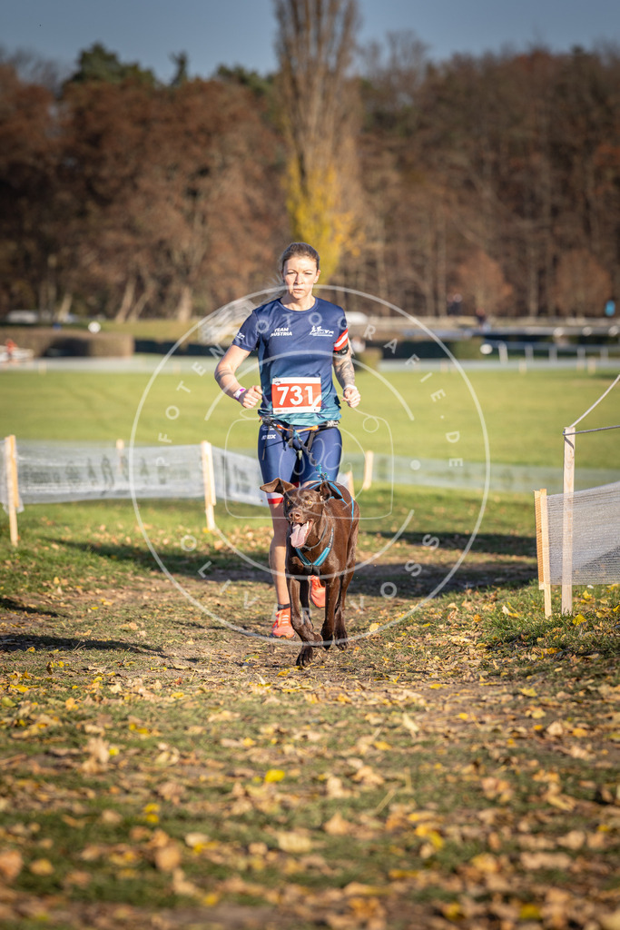 CaniXpix_DV3A2049 | Hundefotografie, Tierfotograf, Pfotenfotografie, Fotoshooting Hund, Hunde Portrait, Hundesport, Hundeportraits, Heideshooting, Hunde, Sportfotograf, Hundefotograf, Turnierhundsport, THS,  - Realisiert mit Pictrs.com