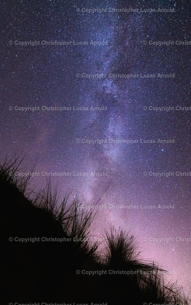 20190804-DSC_0462-Bearbeitet | bildkomponist - Realisiert mit Pictrs.com