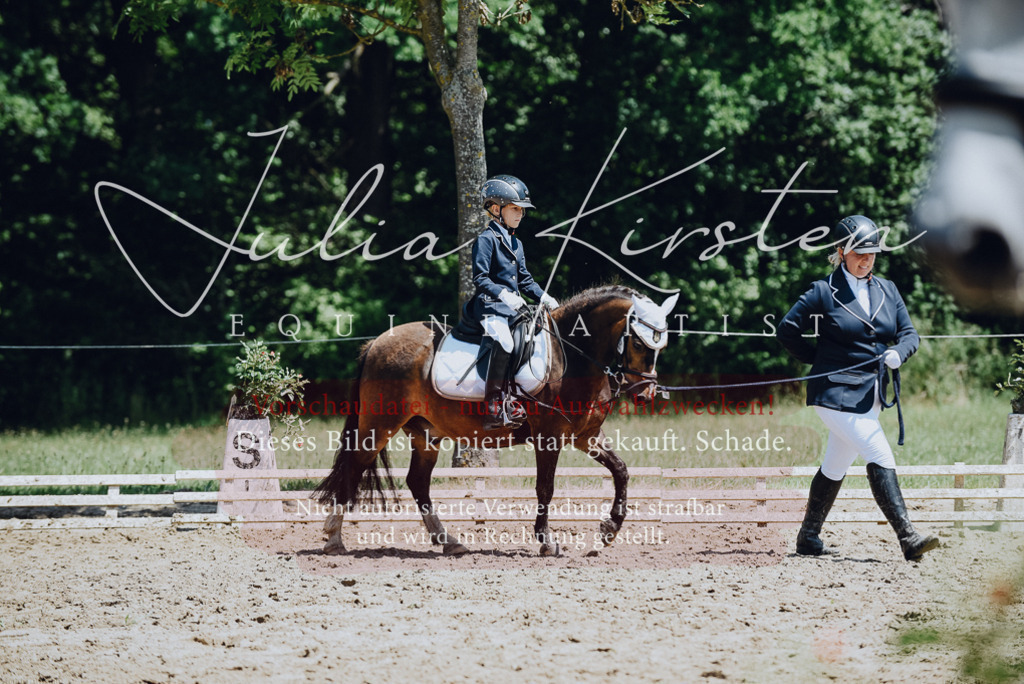 DSC_2136 | Pferde- und Turnierfotografie in Westsachsen. Pferdeportraits, Auftragszeichnungen und intuitive Kunst.