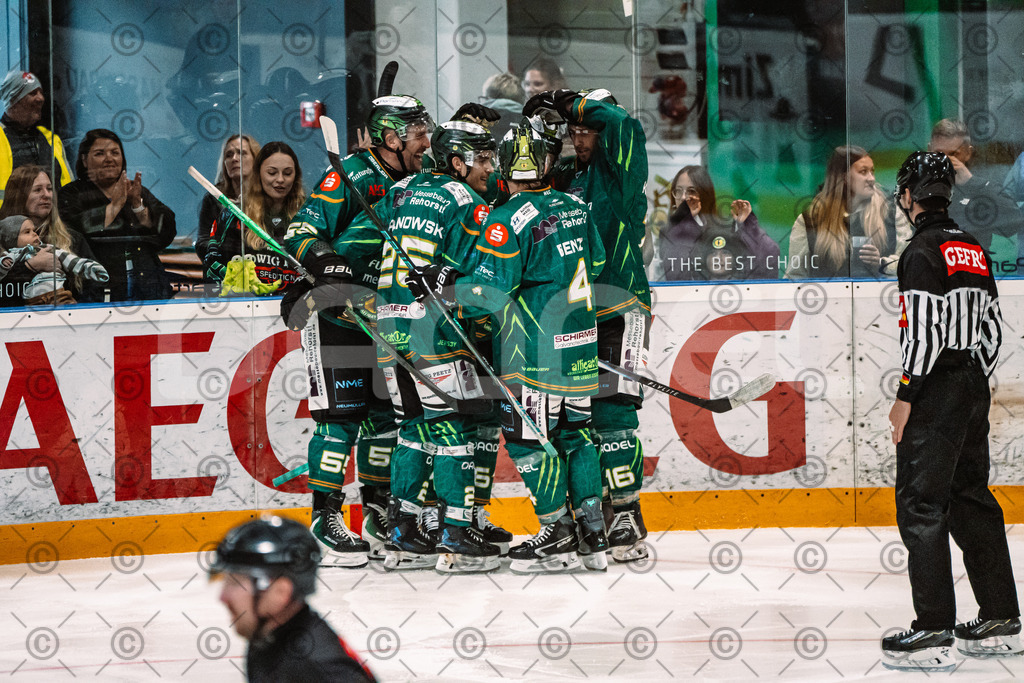 Alligators_vs_Selb_13_09_2026-49 | Die Fotogalerie von Daddel: professionelle Bilder von Sport, Events und Unternehmen aus Franken. Jetzt Galerien durchstöbern und Lieblingsfotos bestellen. - Realisiert mit Pictrs.com