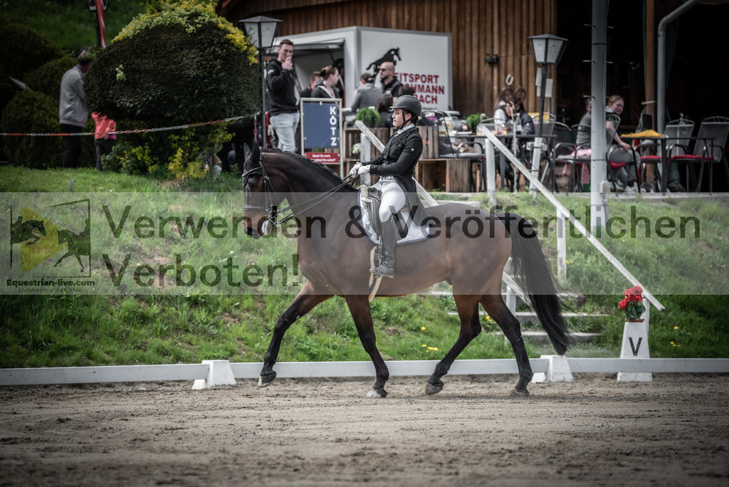 DSC_2906 | equestrian-live-com