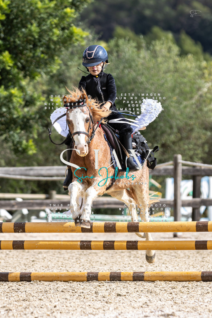 IMG_2163 | s-jay-photography - Realisiert mit Pictrs.com