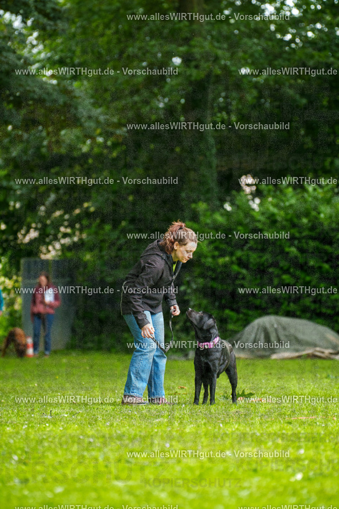 @allesWIRTHgut_Tierfotografie - www.allesWIRTHgut.de - 101424-7R508194 | Professionelle Tierfotografie in Mönchengladbach von Daniel Wirth (allesWIRTHgut). Liebevolle & natürliche Bilder von Hunden & Katzen für unvergessliche Erinnerungen.