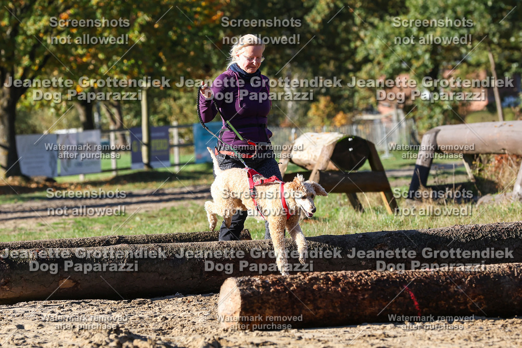 Dog Paparazzi - Strongdog 10-25-1699 | Dog Paparazzi Jeanette Grottendiek Fotografie & Videografie - Realisiert mit Pictrs.com