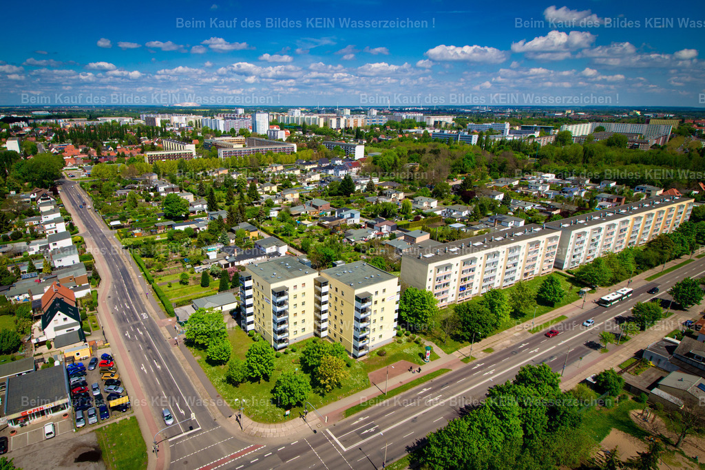 Magdeburg Olvenstedter Graseweg Burgstaller-2305 | Neustädter Feld Olvenstädter Graseweg Burgstaller Birkenweiler - Realisiert mit Pictrs.com