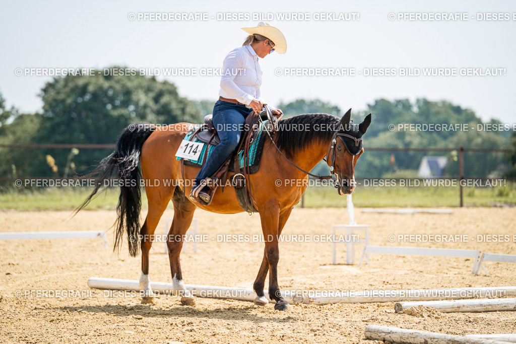 DSC00471 | Pferdegrafie