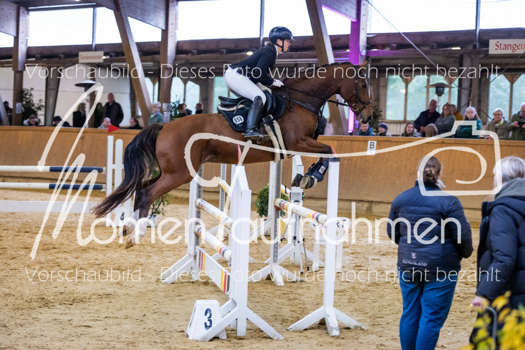 Sth-A-Spr.m.st.A.-027 | MomenTaufnahmen Pferdesportfotos