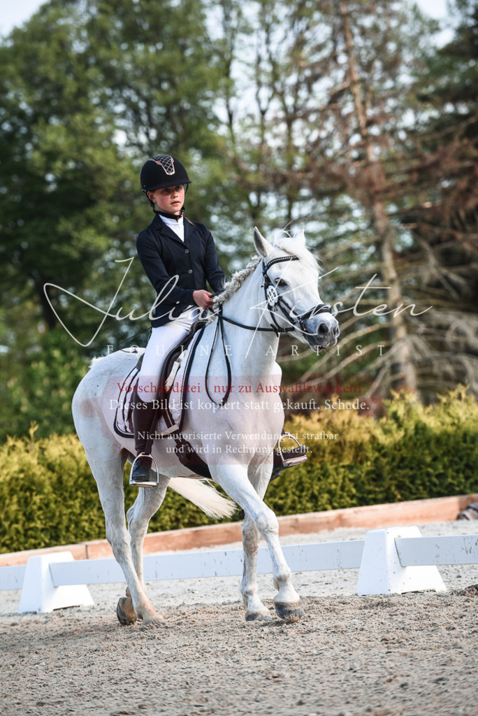 20230518_JK-Röhrsdorf-12-1229 | Pferde- und Turnierfotografie in Westsachsen. Pferdeportraits, Auftragszeichnungen und intuitive Kunst.