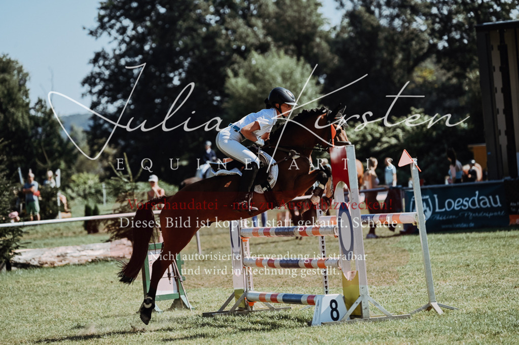 DSC_6187 | Pferde- und Turnierfotografie in Westsachsen. Pferdeportraits, Auftragszeichnungen und intuitive Kunst.