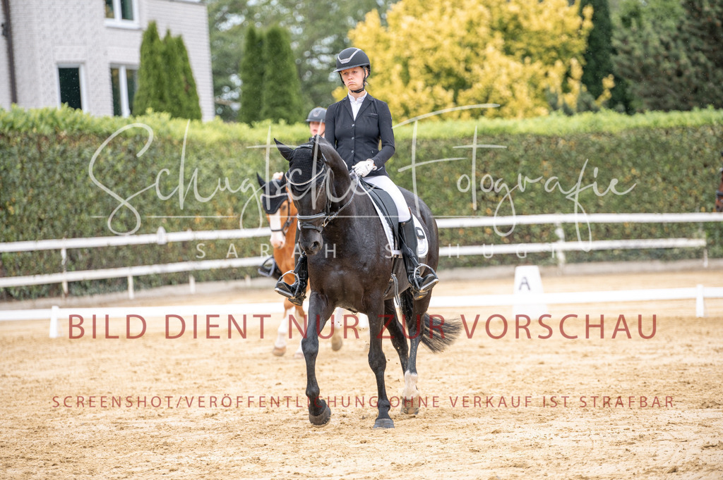 Schugtsche-Aluta25-41.Amat-Dressurprf.A_-372 | Schugtsche Fotografie - Realisiert mit Pictrs.com