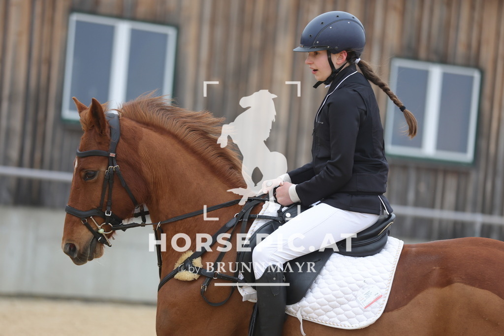 0P6A8331 | Willkommen bei Brunnmayr - Design & Fotografie – Ihrem Spezialisten für Reitturniere und Pferdeveranstaltungen in Oberösterreich, Salzburg und Bayern! Seit über 17 Jahren sind wir leidenschaftlich dabei.