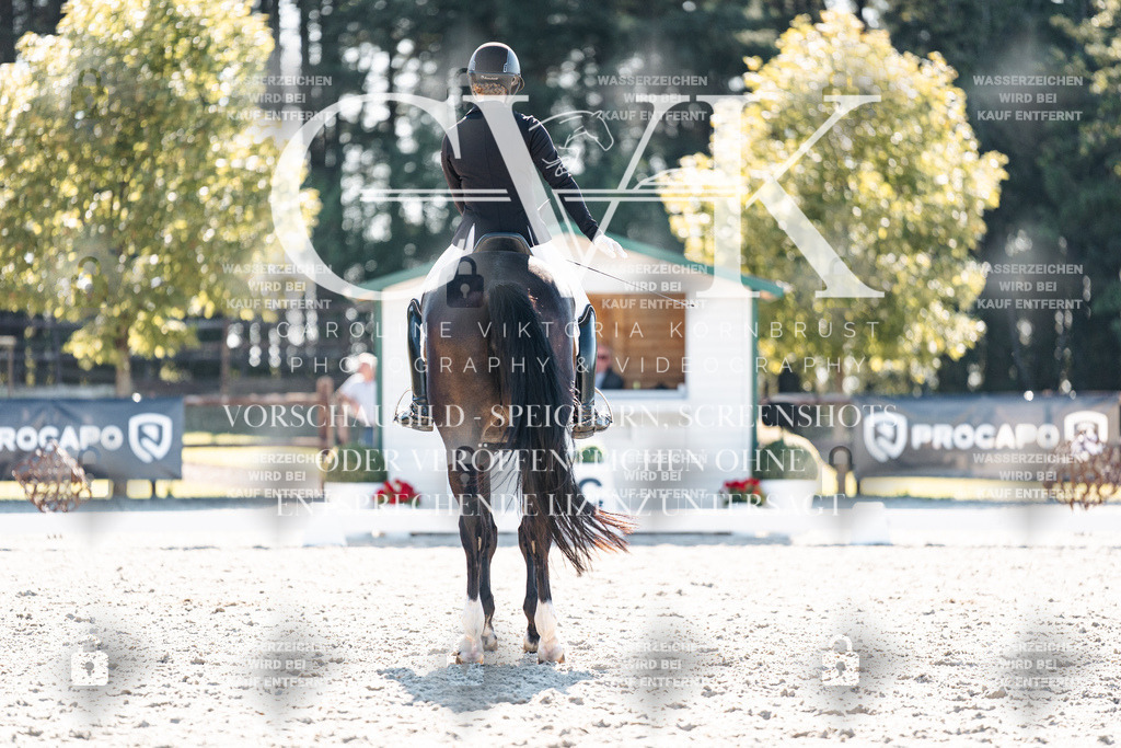 CK905770 | Turnierfotografie Pferdefotografie Trier Rheinland-Pfalz Pferdesport Reitsport Tierfotografie Sportfotografie Pferdevideo Pferdevideografie Equestrianvideography equestrianphotography  - Realisiert mit Pictrs.com
