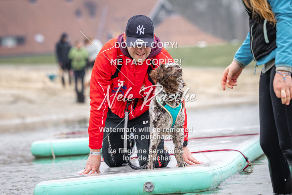 nelerasche_Hulsbeek_Sa1030-1100_359 | nelerasche