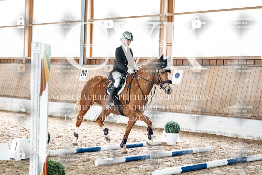 CK902514 | Turnierfotografie Pferdefotografie Trier Rheinland-Pfalz Pferdesport Reitsport Tierfotografie Sportfotografie Pferdevideo Pferdevideografie Equestrianvideography equestrianphotography  - Realisiert mit Pictrs.com