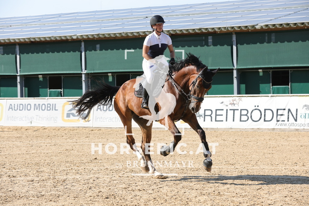 0P6A1669 | Willkommen bei Brunnmayr - Design & Fotografie – Ihrem Spezialisten für Reitturniere und Pferdeveranstaltungen in Oberösterreich, Salzburg und Bayern! Seit über 17 Jahren sind wir leidenschaftlich dabei.
