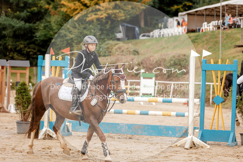 3I6A6611 | Stimmungsvolle Portraits und Reitsportfotografie im Ruhrgebiet und im Münsterland.

Pferdefotografie, Hundefotografie, Tierfotografie, Reportagen, Portraits von Tier und Mensch, Turnierfotografie in Bochum, Recklinghausen, Marl, Haltern am See, Dülmen.. - Realisiert mit Pictrs.com