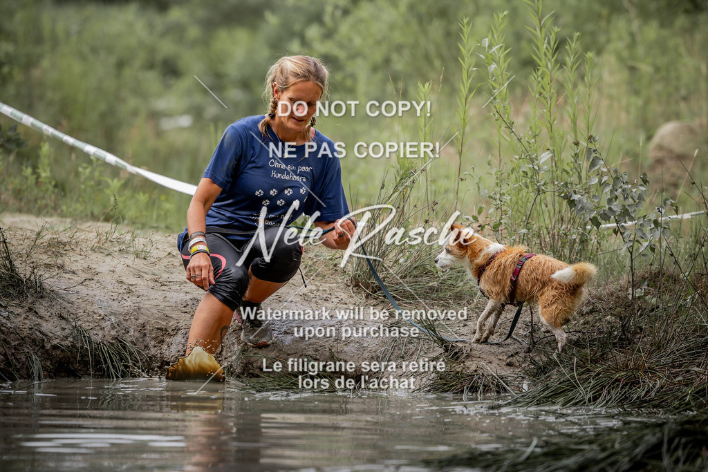 nelerasche_so0800-0930_190 | nelerasche