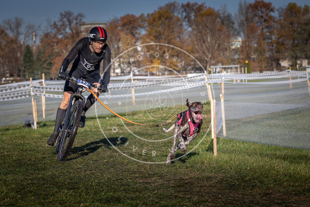 CaniXpix_0L8A4271 | Hundefotografie, Tierfotograf, Pfotenfotografie, Fotoshooting Hund, Hunde Portrait, Hundesport, Hundeportraits, Heideshooting, Hunde, Sportfotograf, Hundefotograf, Turnierhundsport, THS,  - Realisiert mit Pictrs.com