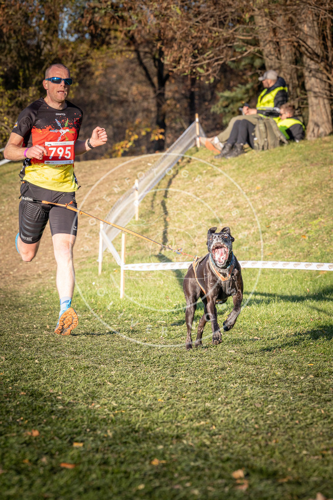 CaniXpix_0L8A0281 | Hundefotografie, Tierfotograf, Pfotenfotografie, Fotoshooting Hund, Hunde Portrait, Hundesport, Hundeportraits, Heideshooting, Hunde, Sportfotograf, Hundefotograf, Turnierhundsport, THS,  - Realisiert mit Pictrs.com