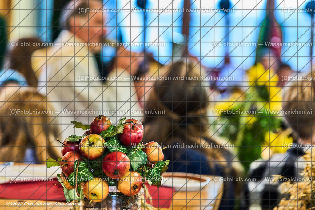 ALP0824_Erntedankfest_Lackenhof-Langau | (C)FotoLois.com, Alois Spandl, ERNTEDANKFEST Lackenhof/Langau im rothschild´schen Glassalon in Langau/Maierhöfen, So 2. Okt. 2022.