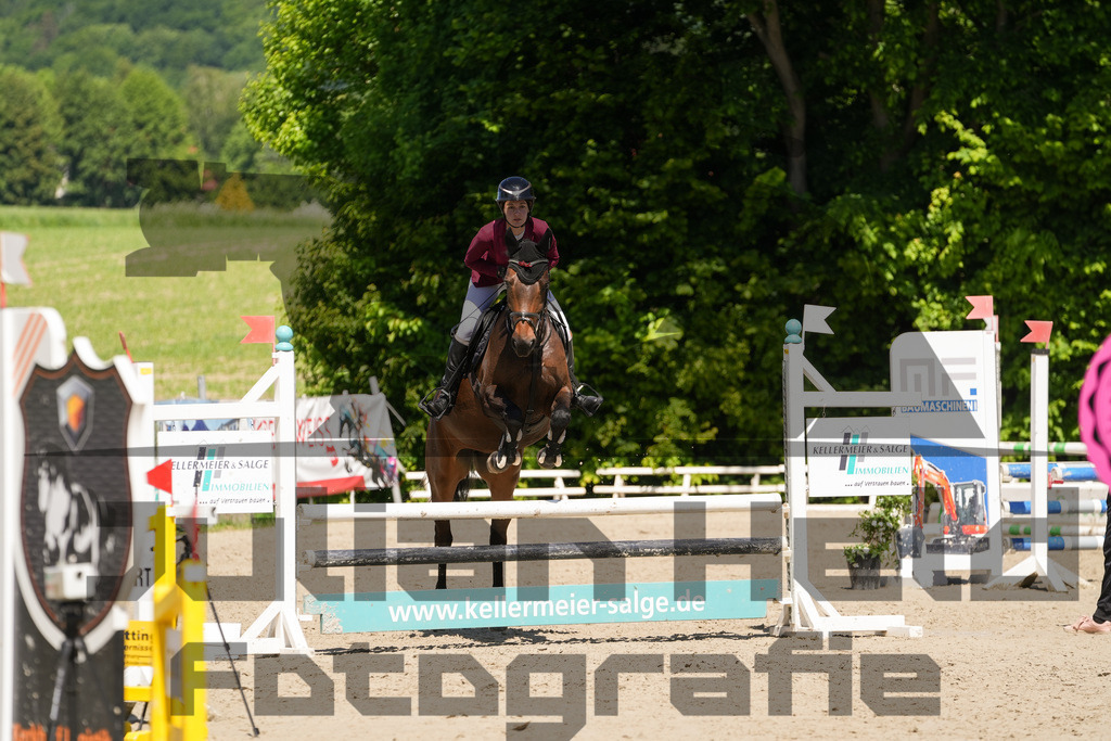 DSC02260 | Julian Held Fotografie - Realisiert mit Pictrs.com