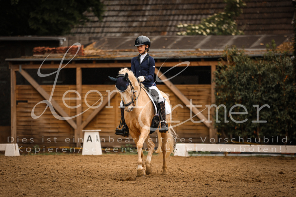 DoDrA00575 | Leoni Ertmer Photography - Realisiert mit Pictrs.com