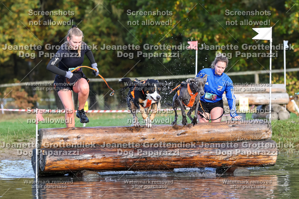 Dog Paparazzi - Strongdog 10-25-8323 | Dog Paparazzi Jeanette Grottendiek Fotografie & Videografie - Realisiert mit Pictrs.com